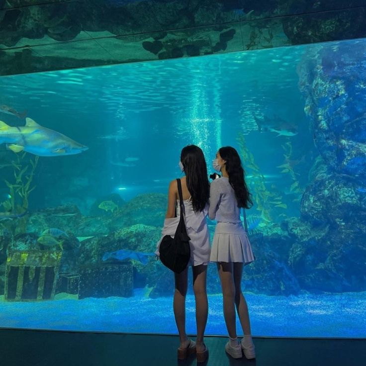 two girls standing in front of an aquarium looking at the fish