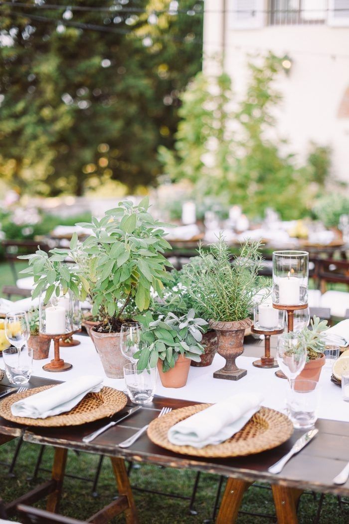 an outdoor table set up with plants and place settings