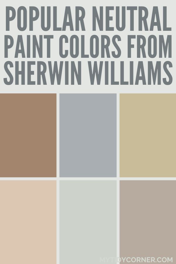 Collage of popular neutral paint colors by Sherwin Williams. Sherwin Williams Neutral Paint Palette, Trending Neutral Paint Colors, She Twin Williams Paint Colors, Warm Neutrals Color Palette, Neutral With Pop Of Color, Beige Bedroom Paint, Sherwin Williams Neutral Paint Colors, Sherwin Williams Warm Neutrals, Behr Neutral Paint Colors