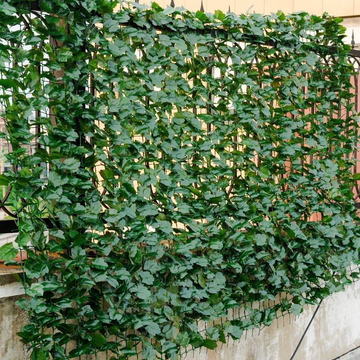 PRICES MAY VARY. 【Artificial Ivy Privacy Fence Screen】: The 118"x59" faux ivy wall can cover 48 square feet. By strategically placing artificial fences in areas that may be exposed, you can decorate your house while ensuring personal privacy. 【Faux Ivy with Natural Looking】: The artificial leaves are made to mimic the vibrancy of real leaves. It also features sun protection which will make it keep bright color for a long time. 【Easy to Install and Maintain】: The ivy privacy fence screen is easy Fairy Lights And Vines Chain Screen, Black Fence With Ivy, Decorative Privacy Fence, Decorative Trellis, Faux Wall, Key Hangers, Wall Green, Fence Screen, Trellis Fence