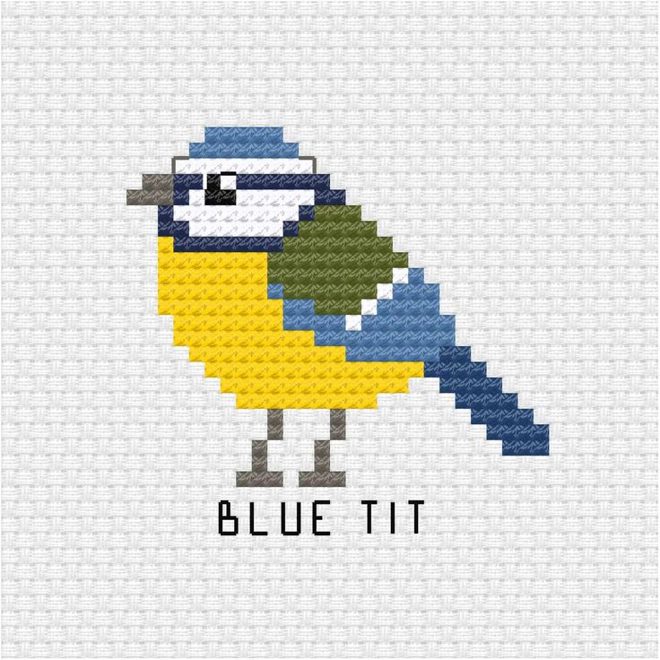 This cute little blue tit is the the latest addition to the bird cross stitch pdf pattern series I am building up for my patrons. Blue tit cross stitch pdf pattern - Ringcat Blue Bird Cross Stitch Pattern, Tiny Bird Cross Stitch, Blue Bird Cross Stitch, Small Bird Cross Stitch Pattern, Cross Stitch Birds Small Patterns, Simple Cross Stitch Pattern, Small Cross Stitch Patterns Free Minis, Small Animal Cross Stitch, Tiny Cross Stitch Patterns