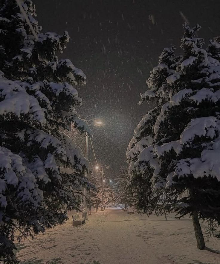 snow covered trees and street lights in the distance at night, with one person walking through it