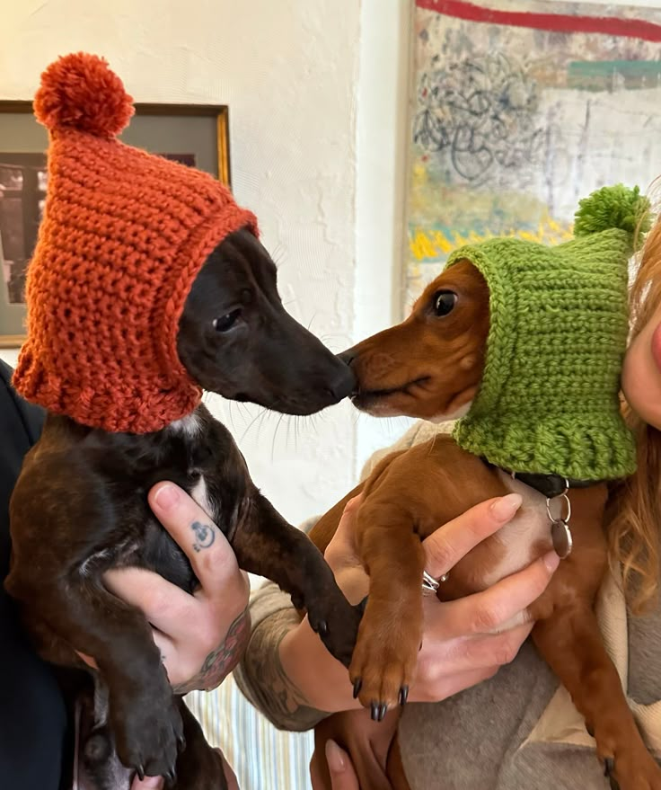 a woman is holding two small dogs wearing knitted hats