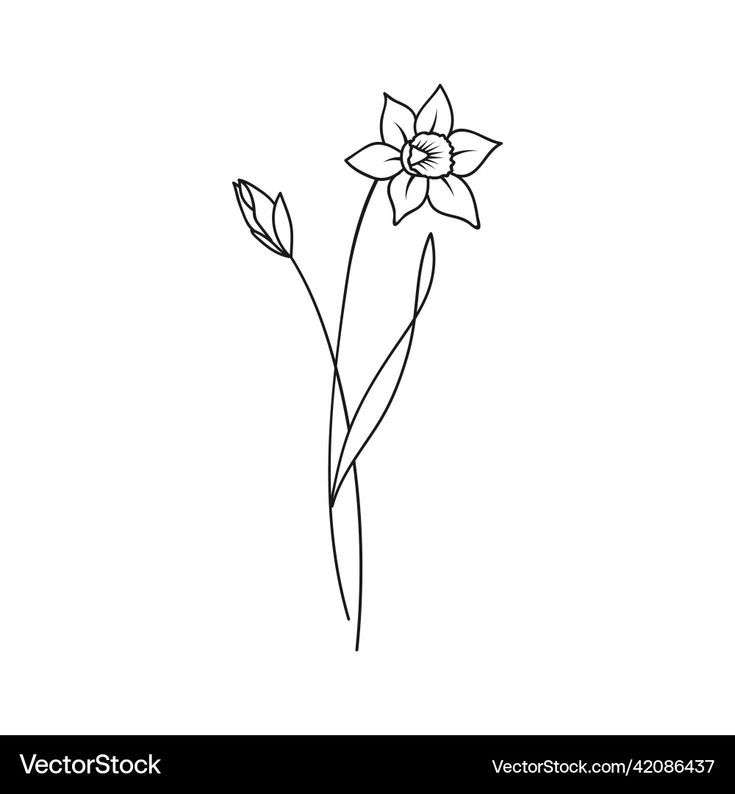 a single flower is shown in black and white