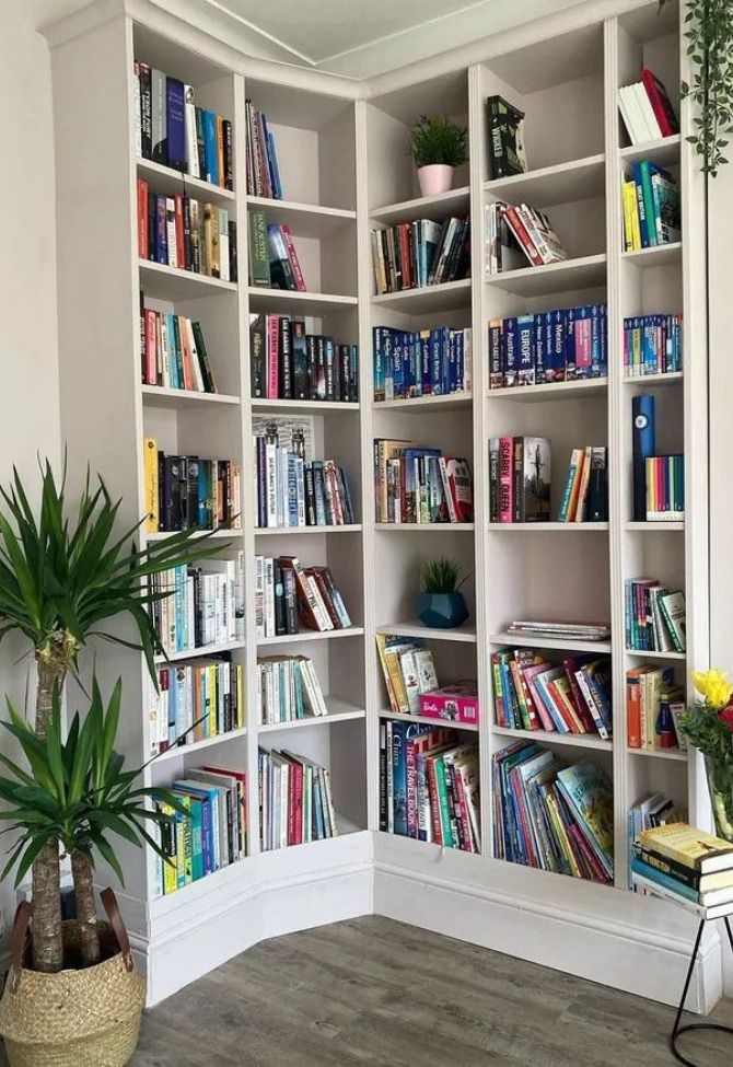 a white bookcase filled with lots of books next to a green potted plant