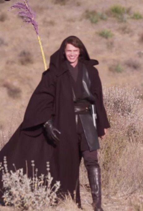 a man dressed as darth vader is standing in the grass with a purple flower