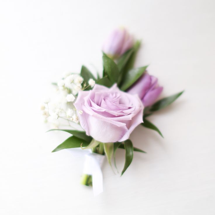 a purple rose and baby's breath boutonniere on a white background