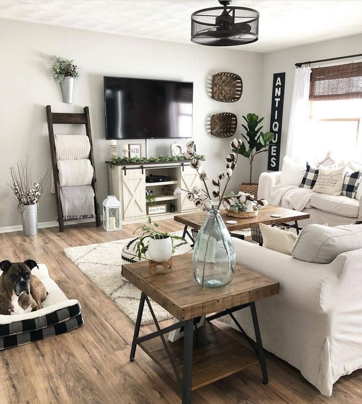 a living room filled with furniture and a dog laying on the floor