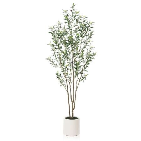 a plant in a white vase on a white background