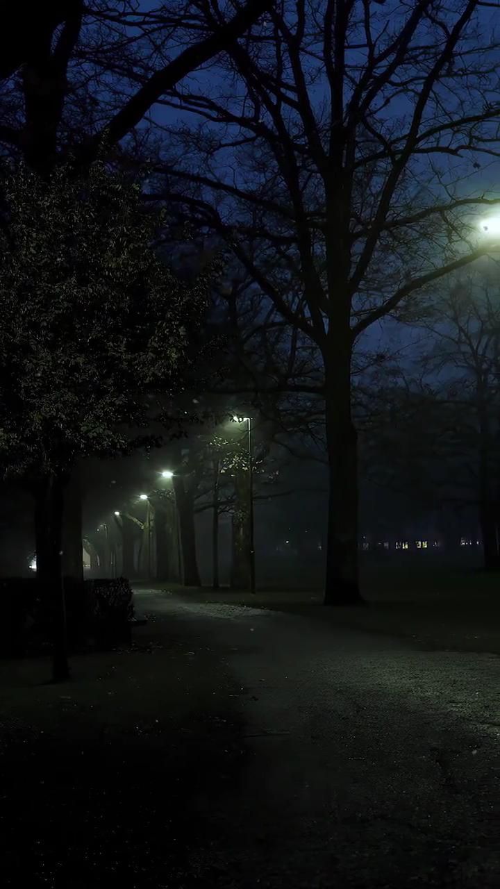 an empty street at night with lights on and trees lining the sidewalk in the foreground