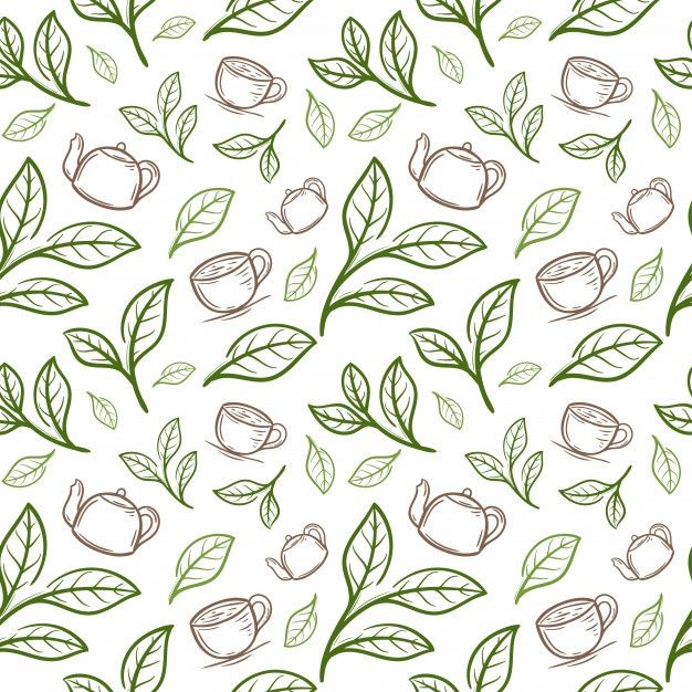 green leaves and teapots on a white background seamless pattern stock photo - budget conscious