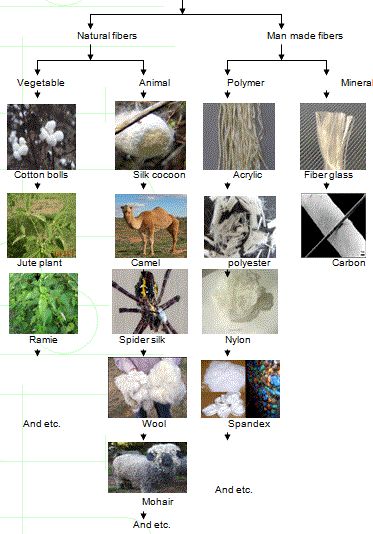 an image of different types of plants and animals in the same diagram, with words describing them