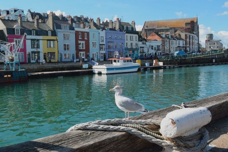 a seagull sitting on the end of a dock next to some buildings and water