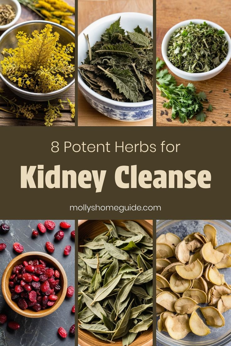 eight different herbs for kidney cleanse