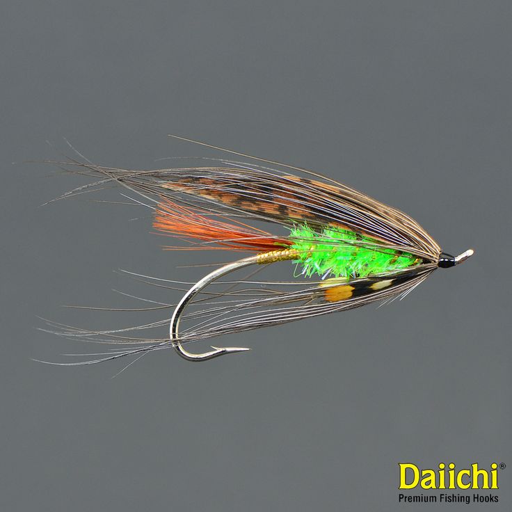 an orange and green fly flies through the air