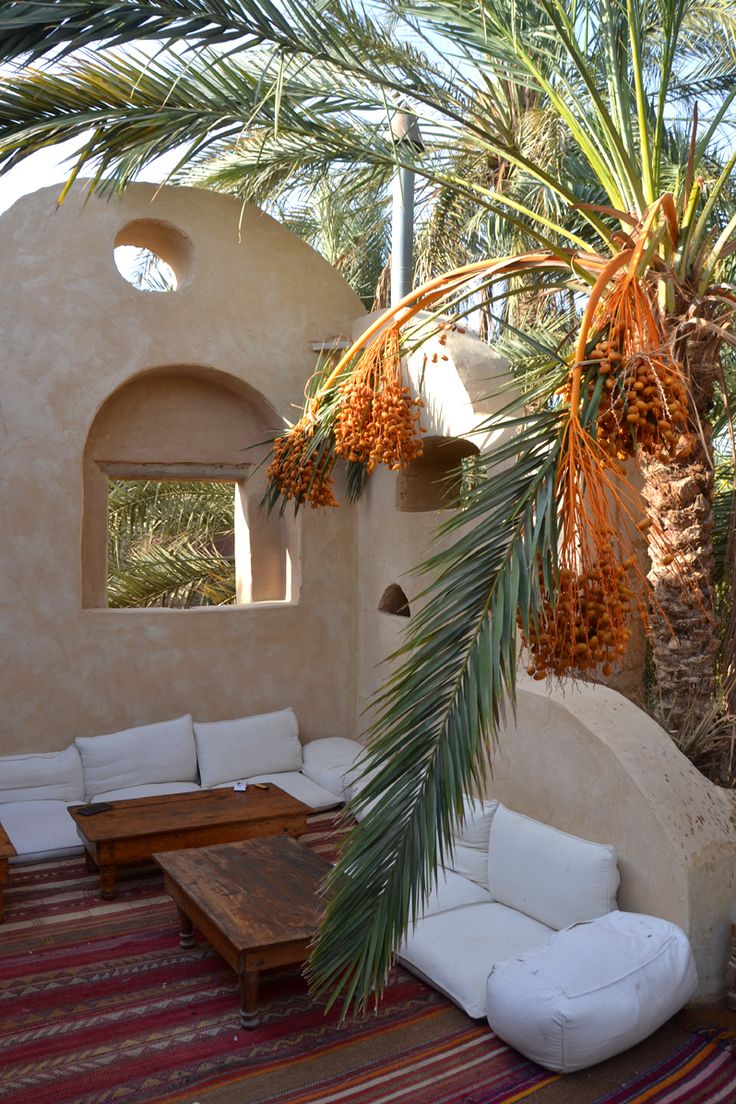 an outdoor living area with couches, tables and palm trees