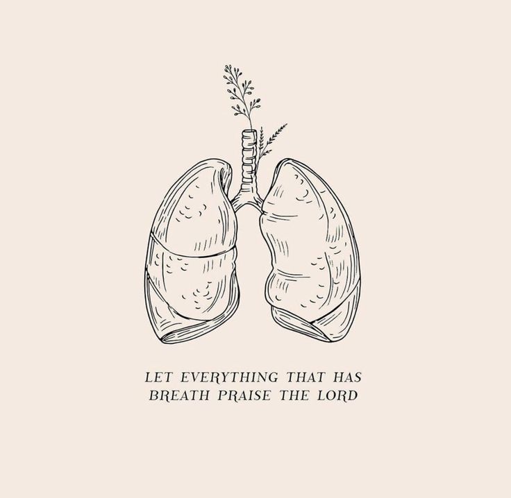 a drawing of lungs with the words, let everything that has breath praise the lord