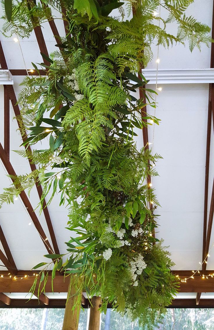 a tall plant hanging from the ceiling in a room filled with lights and greenery