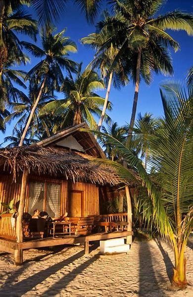 a hut on the beach surrounded by palm trees