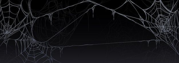 an image of spider webs in the dark