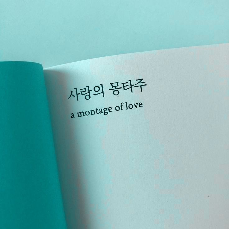 an open book with korean writing on the cover and in front of a blue background