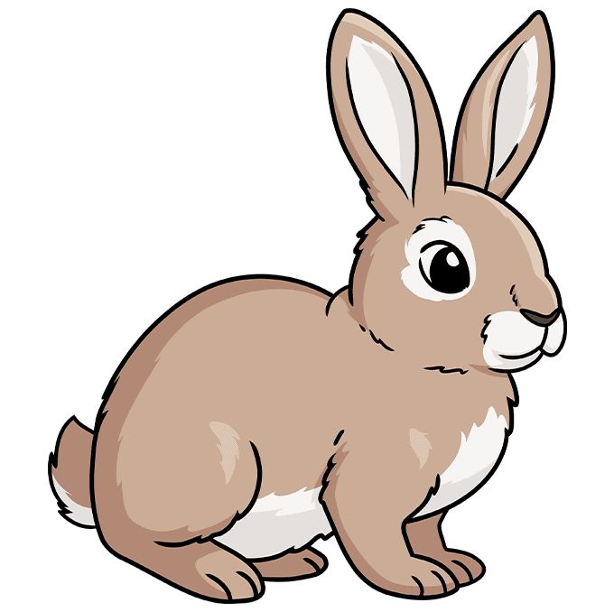 a brown rabbit sitting on the ground