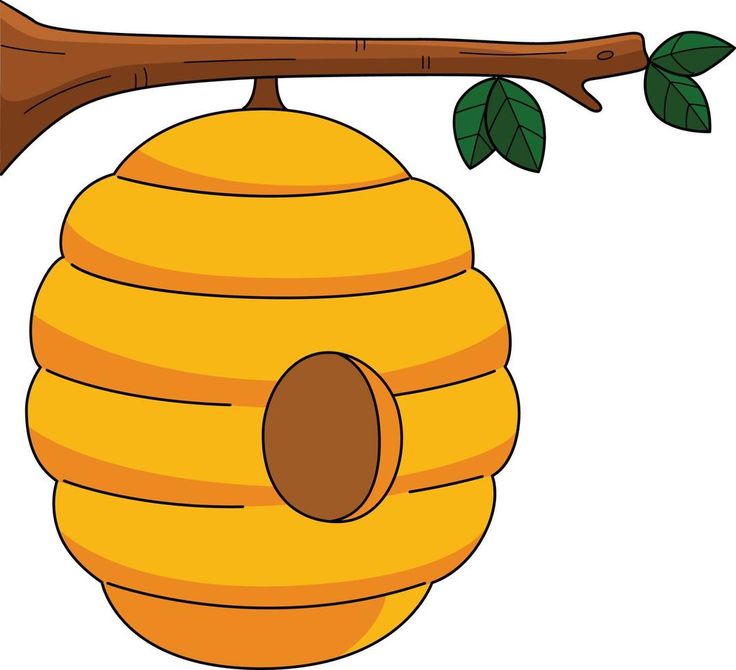 a beehive hanging from a tree branch