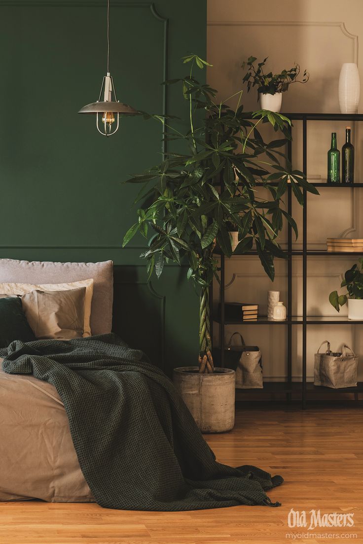 Deep green bedroom with organic style, soft textiles, and wood floor Green Room Ideas Bedroom, Dark Green Rooms, Green Bedroom Walls, Green Accent Walls, Feature Wall Bedroom, Dark Green Walls, Earthy Bedroom, Basement Apartment, Green Walls