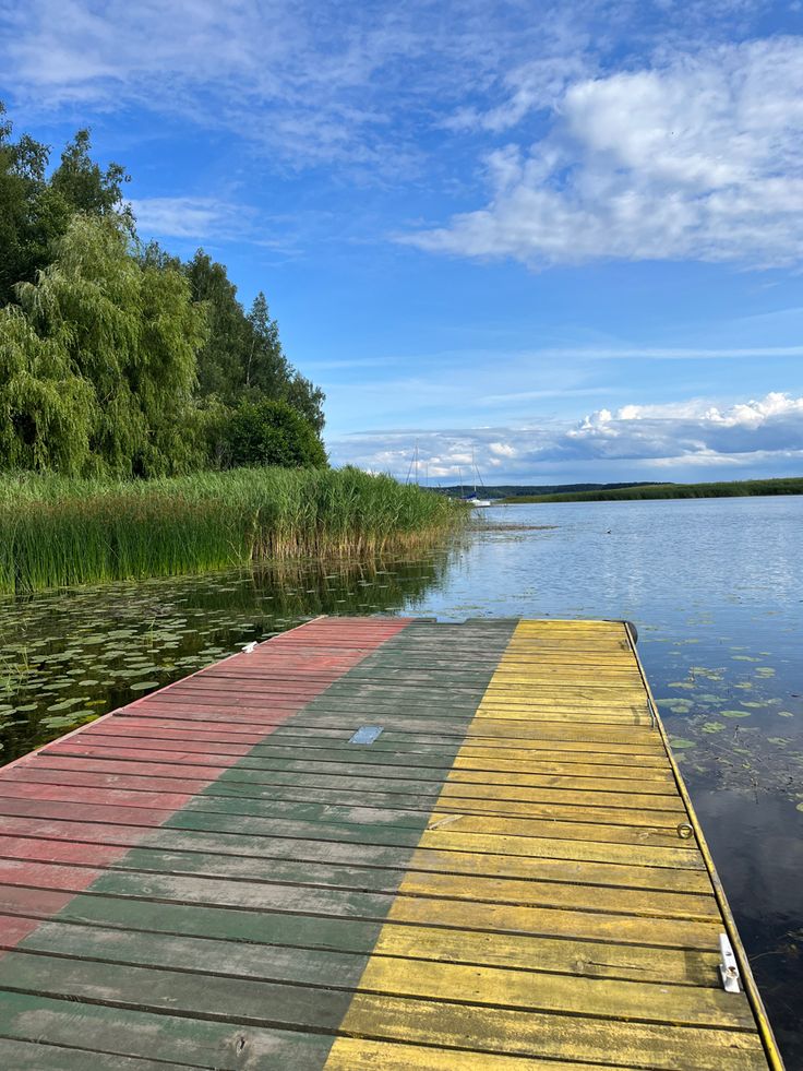 a wooden dock sitting on top of a lake next to tall grass and water plants