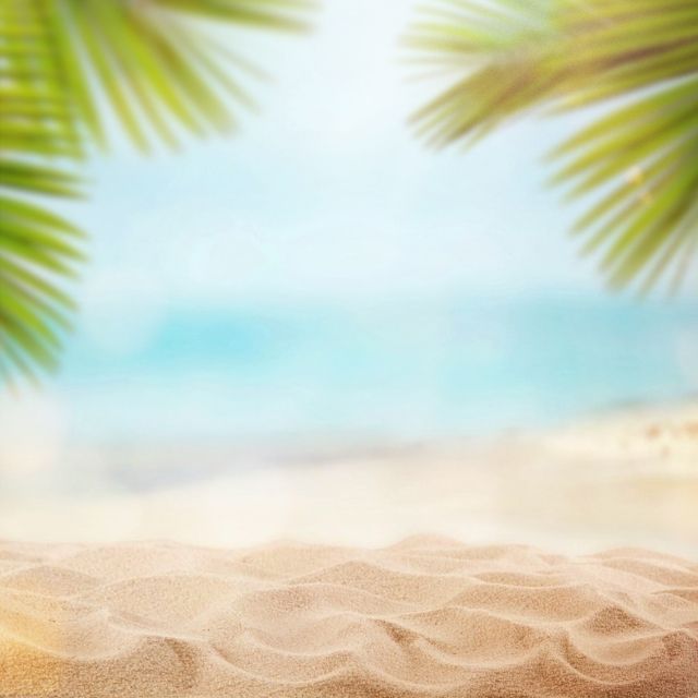 a blurry photo of the beach with palm trees in the foreground and water in the background