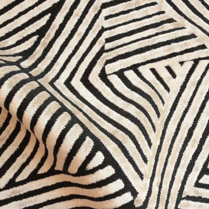 a black and white zebra print fabric that is very close to the ground, with lines on it