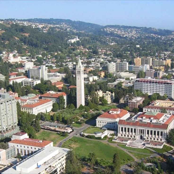 an aerial view of a city with tall buildings and green trees in the foreground