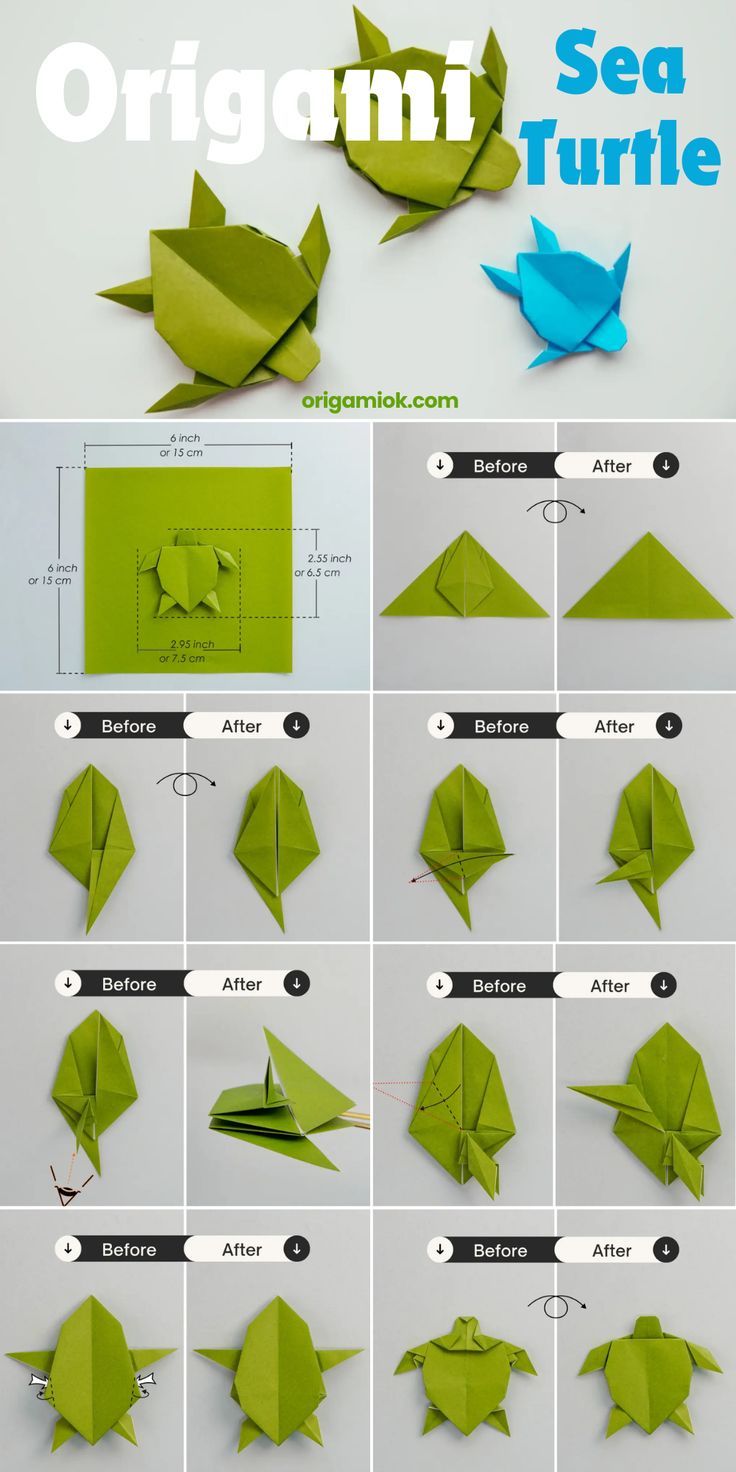 instructions to make an origami sea turtle