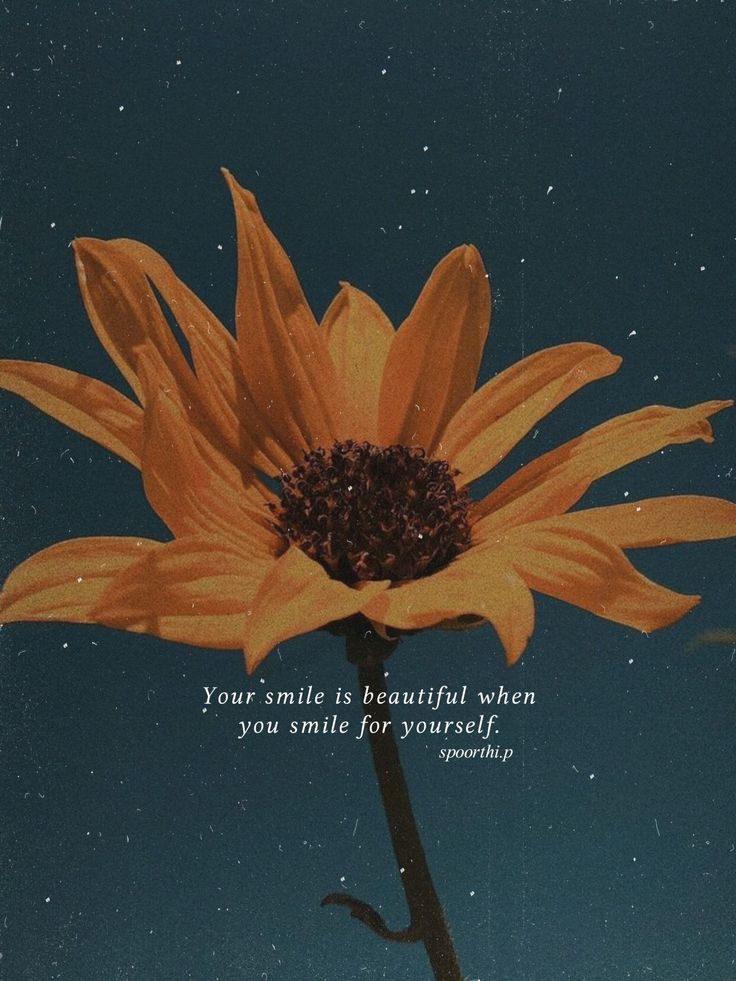 an orange flower with a quote on it