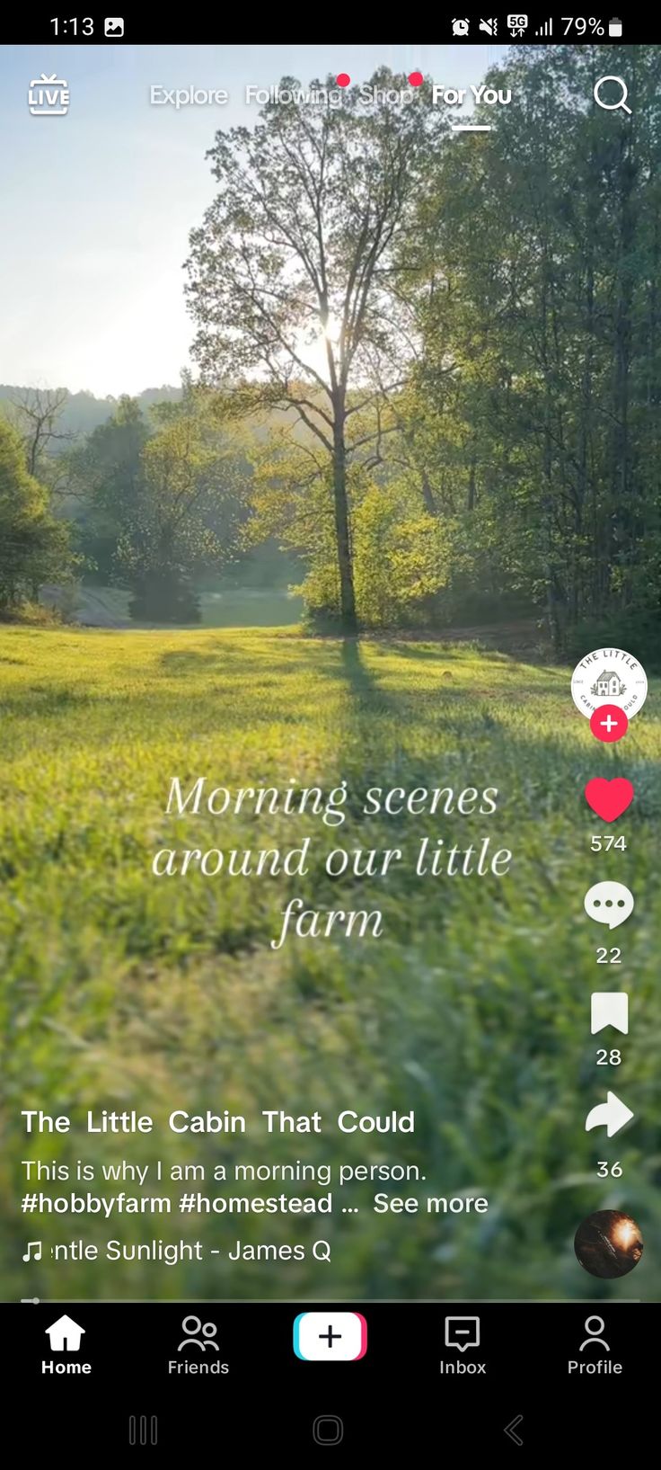 an image of a field with the words morning scenes around our little farm on it