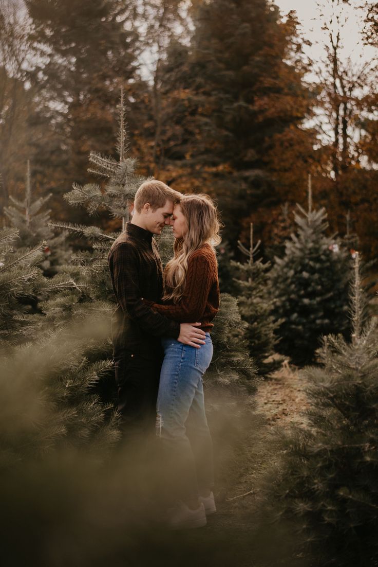 an engaged couple cuddles in the middle of a christmas tree farm during their engagement session