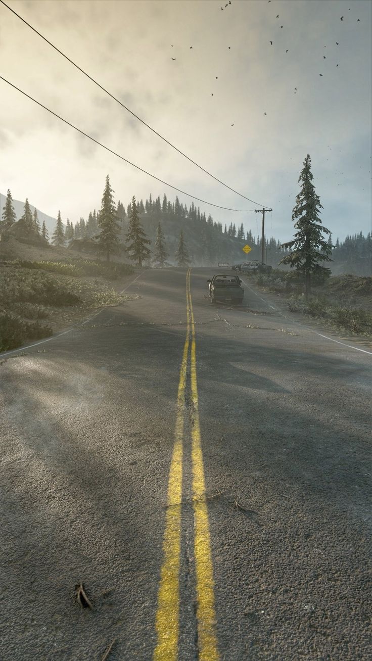 a yellow line on the side of a road in front of some trees and power lines