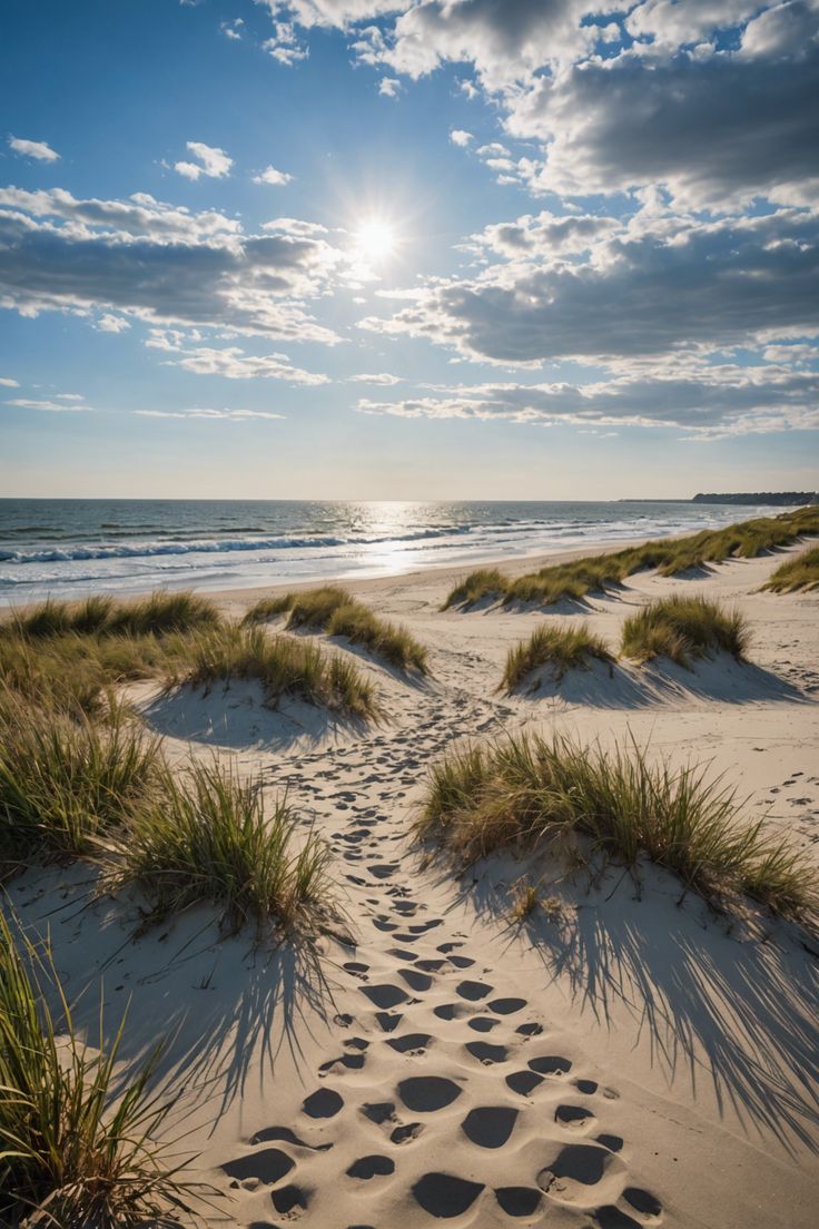 Uncover the Coast: Delaware’s Best Beaches for a Perfect Day Out