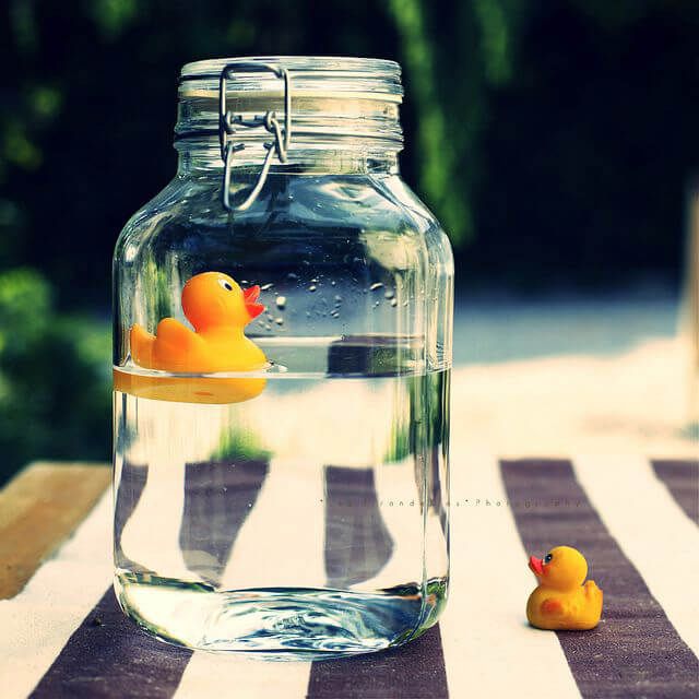 two rubber ducks in a jar on a table