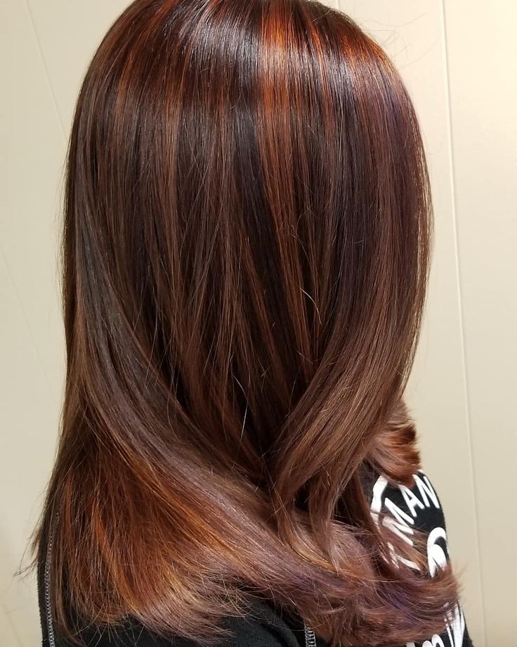 Deep Brown Hair With Copper Highlights, Dark Red Copper Highlights, Cooper Highlights On Red Hair, Red Toned Highlights Brown Hair, Brown Hair W Ginger Highlights, Copper Hilights On Dark Hair, Copper Low Lights Dark Brown, Brown Copper Hair Color With Highlights, Brown Auburn Hair Color With Highlights