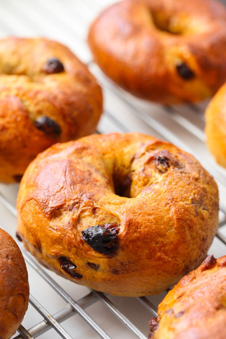 fresh baked blueberry donuts cooling on a wire rack