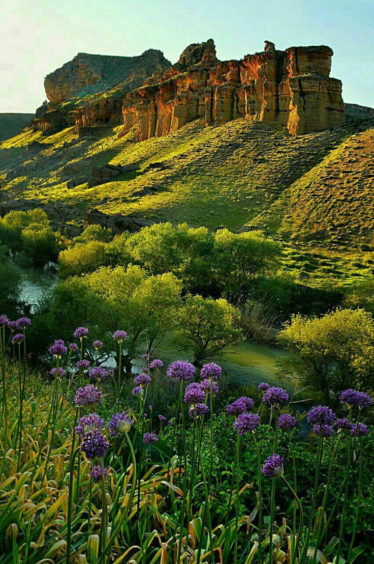 wildflowers grow in the foreground with rocky cliffs in the background