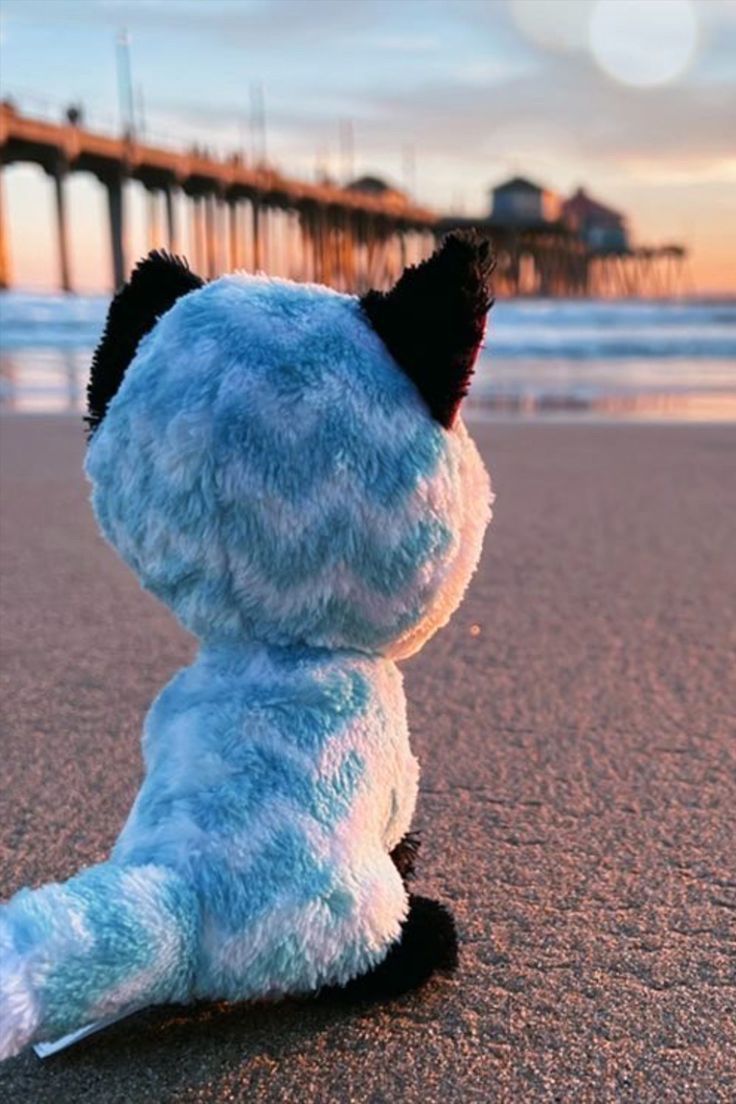 a blue stuffed animal sitting on top of a sandy beach next to the ocean with a pier in the background