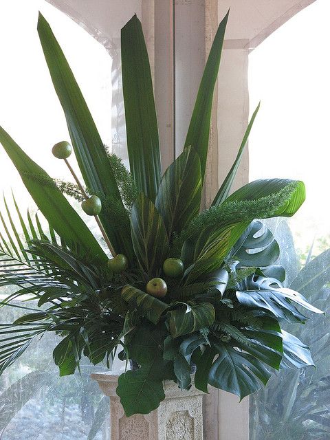 a vase filled with green plants on top of a window sill