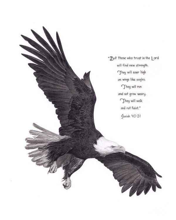 an eagle flying through the air with a bible verse below it