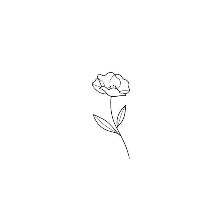 a single flower is shown in the middle of a line art drawing, with leaves on it