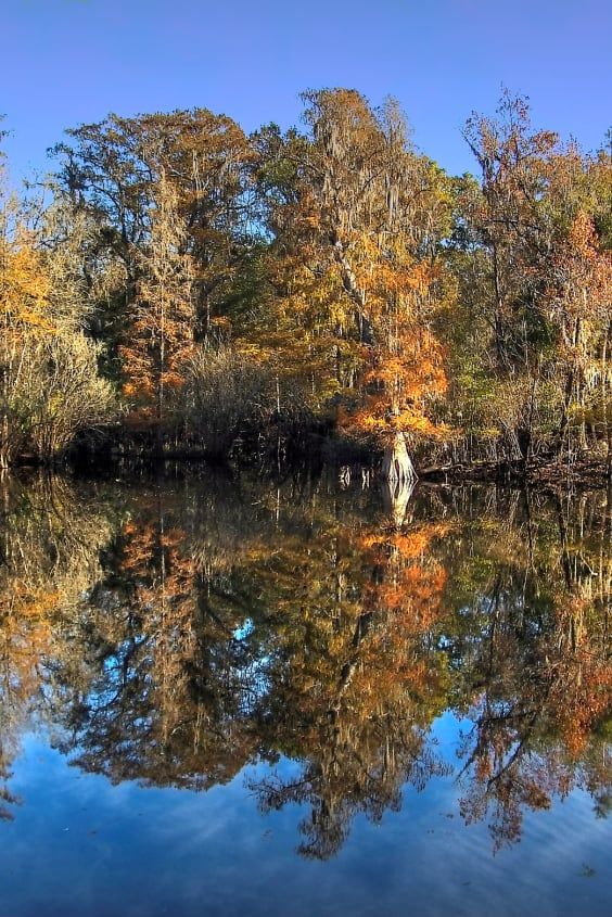 a body of water surrounded by lots of trees in the fall season with blue sky and white clouds