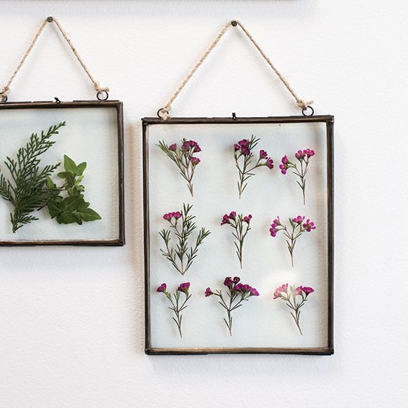 two framed pictures hanging on the wall with flowers and leaves attached to each one's sides