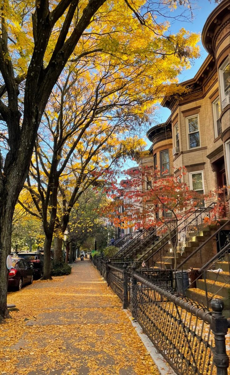 a street lined with parked cars next to tall trees covered in yellow leaves and autumn foliage