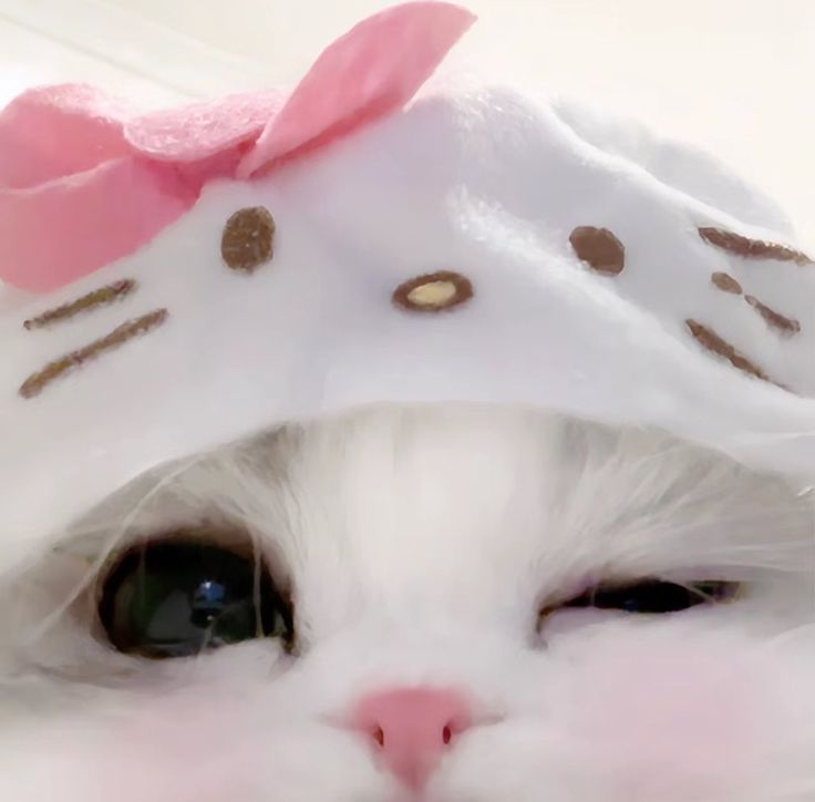 a white cat with a pink bow on it's head wearing a hello kitty hat